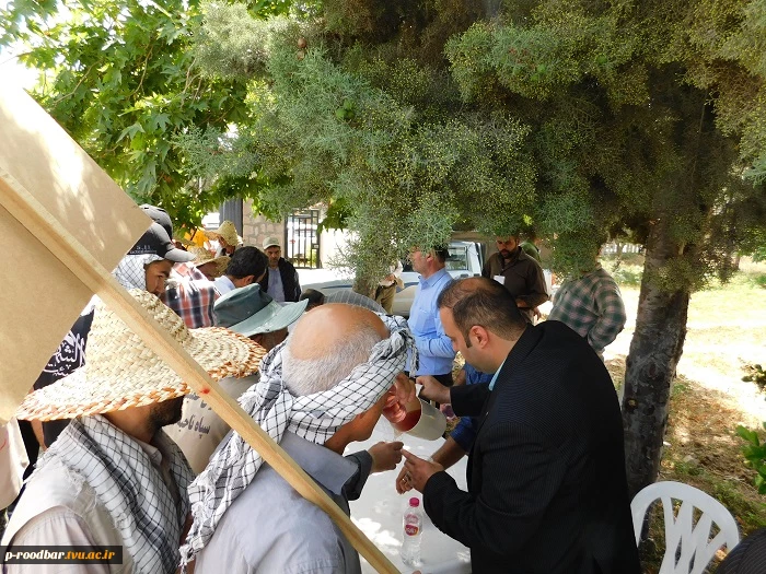 استقبال از کاروان زیارتی حرم مطهر حضرت امام خمینی(ره) در آموزشکده فنی سیدالشهدا(ع) رستم اباد 6