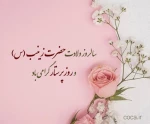 ولادت با سعادت حضرت زینب (س) و روز پرستار مبارکباد. 2