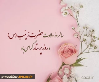 ولادت با سعادت حضرت زینب (س) و روز پرستار مبارکباد.